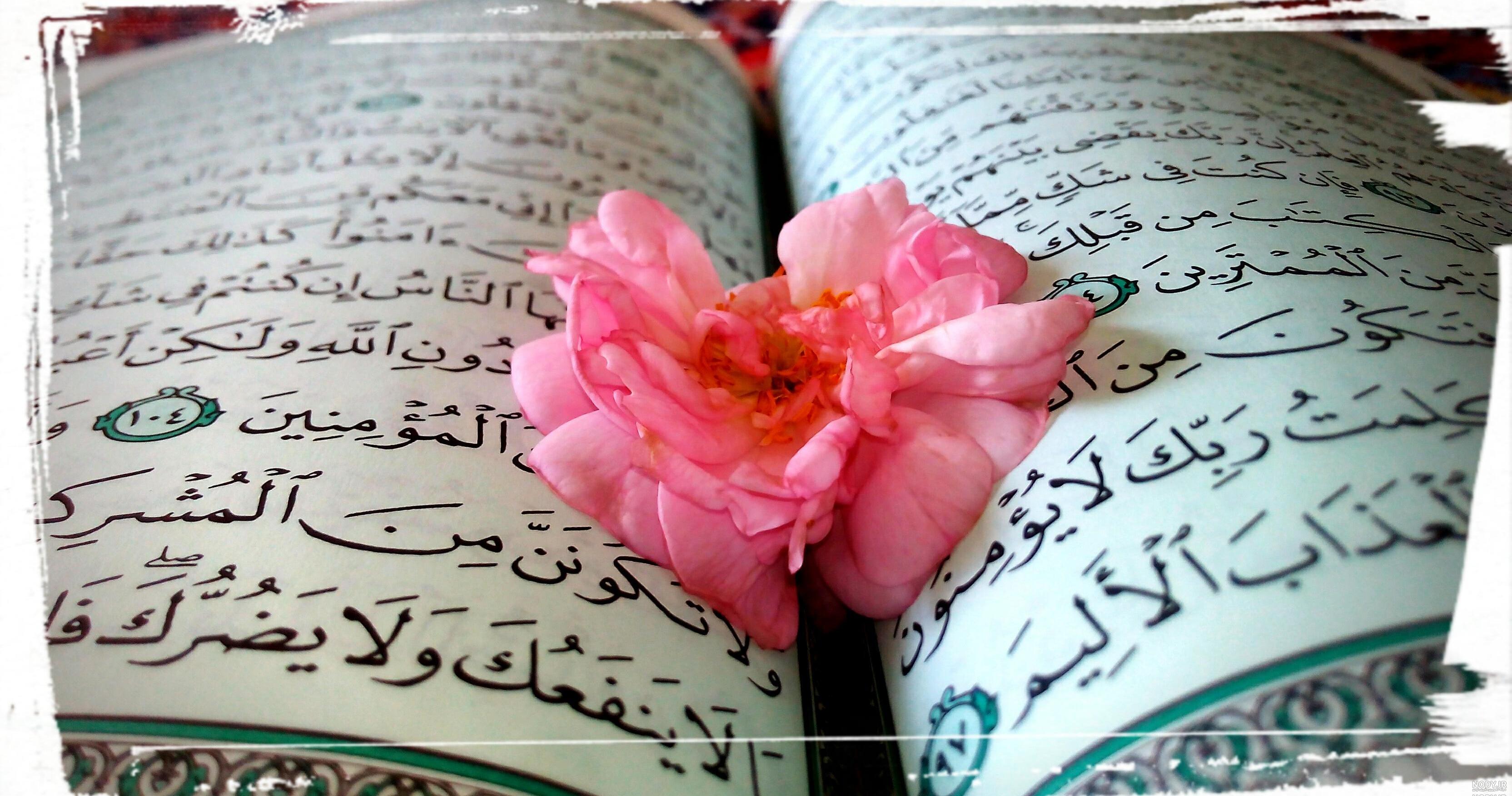 عکس قران با گل برای پروفایل عکس قران با گل برای پروفایل