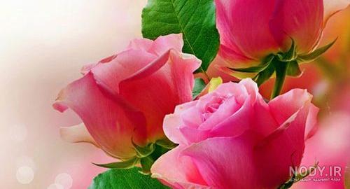 عکس منظره برای پروفایل واتساپ عکس منظره برای پروفایل واتساپ