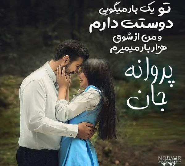 عکس پروانه و شمع عکس پروانه و شمع