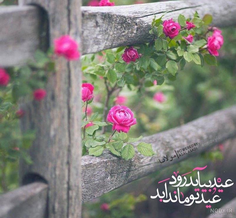 عکسهای آرامش دهنده برای پروفایل واتساپ