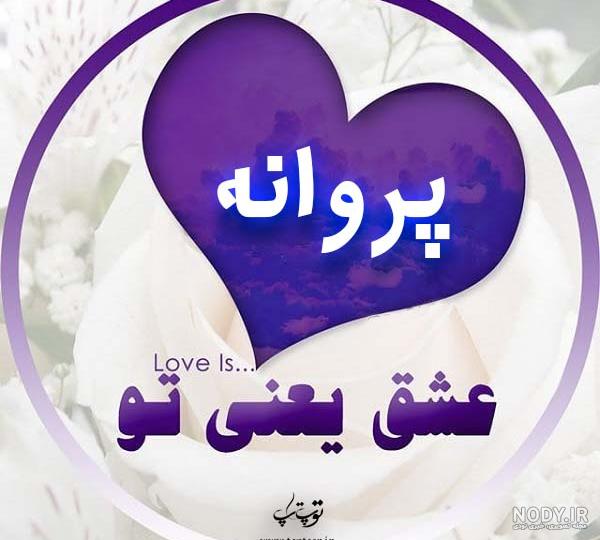 متن انگلیسی درباره پروانه با ترجمه متن انگلیسی درباره پروانه با ترجمه