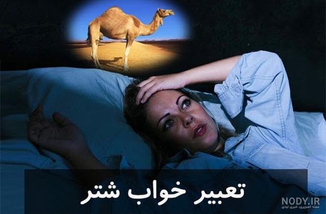 موبایل را پیدا کن
