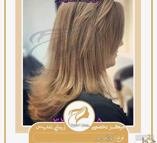 کانال تلگرام مریم تقدسی کانال تلگرام مریم تقدسی