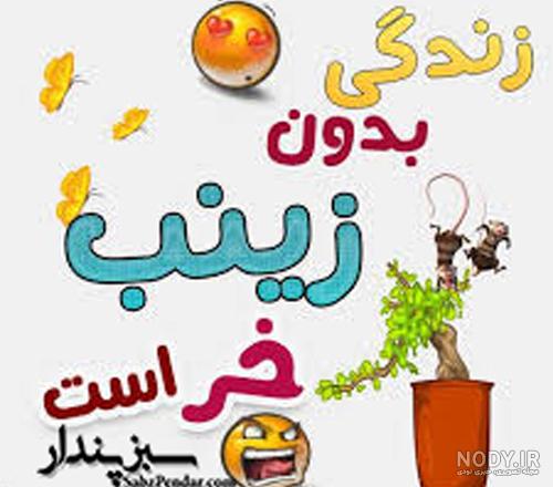کلیپ تولد آبجی زینب کلیپ تولد آبجی زینب