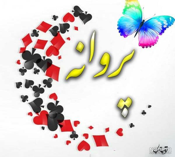 کلیپ پروانه جان تولدت مبارک کلیپ پروانه جان تولدت مبارک