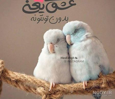 عکس نوشته ولنتاین مبارک رفیق عکس نوشته ولنتاین مبارک رفیق