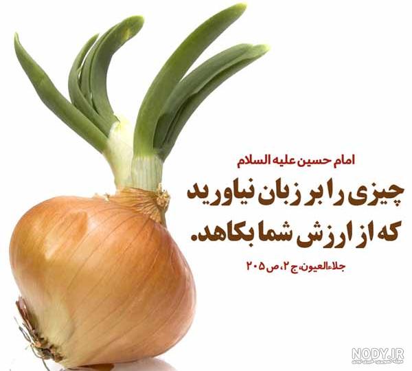 معنی قضاوت معنی قضاوت