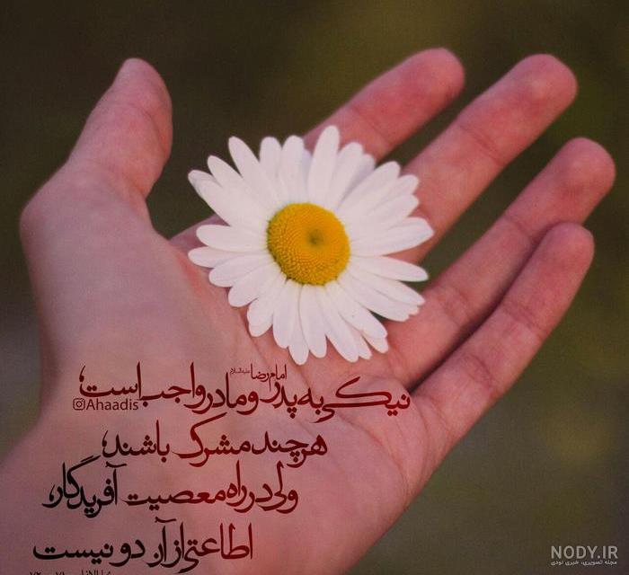 احترام به پدر و مادر در قرآن