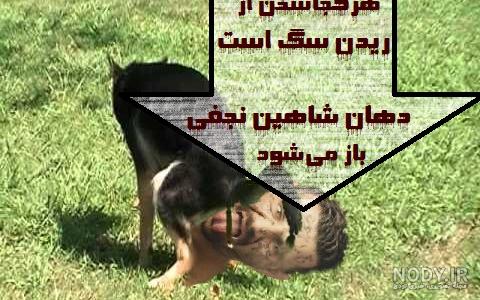 اهنگ پاپ شاهین نجفی