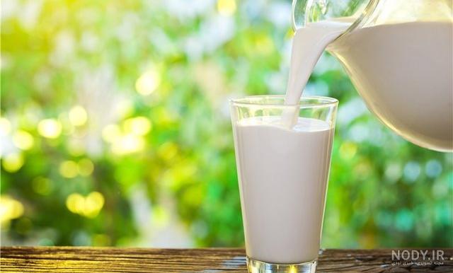بهترین سن تلقیح تلیسه