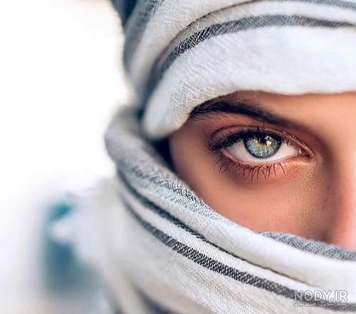 خرگوش نژاد داچ