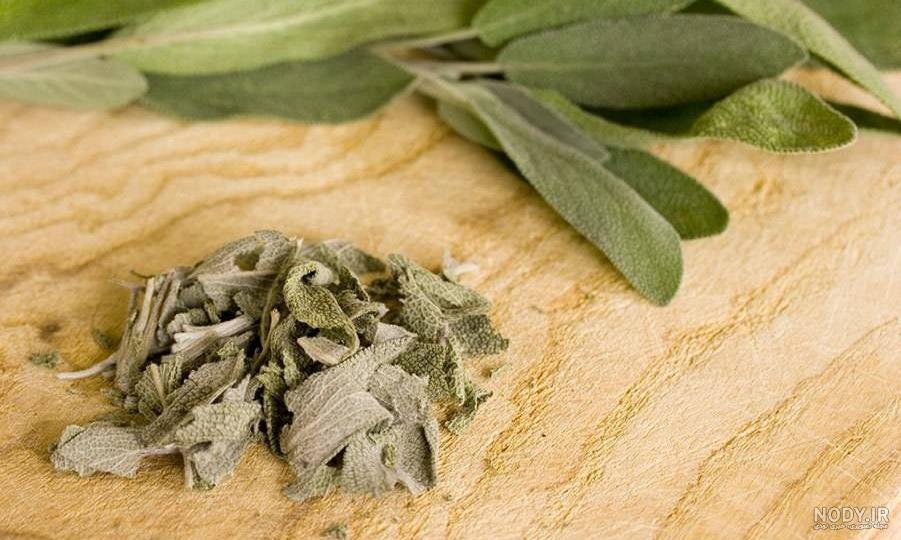 خواص مریم گلی برای دیابت خواص مریم گلی برای دیابت