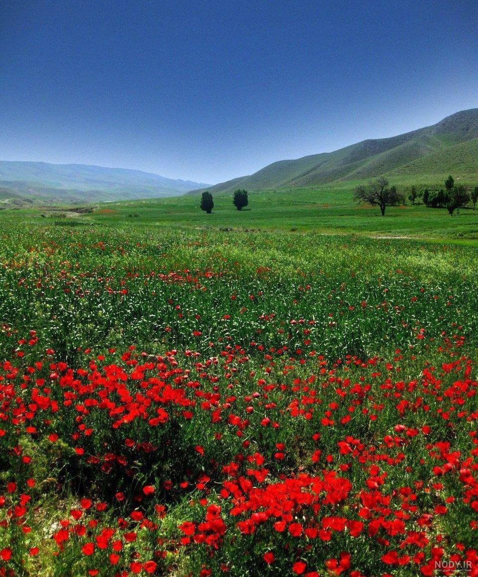 دانلود عکس طبیعت برای موبایل