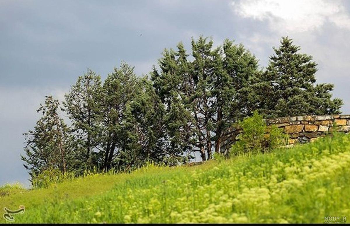 دانلود عکس طبیعت برای پروفایل