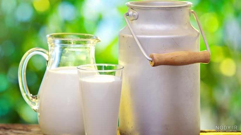 دلیل باردار نشدن گاو
