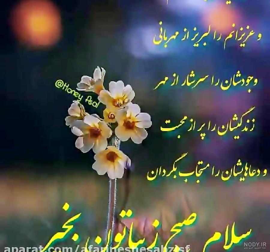 عکس صبح بخیر خنده دار عکس صبح بخیر خنده دار