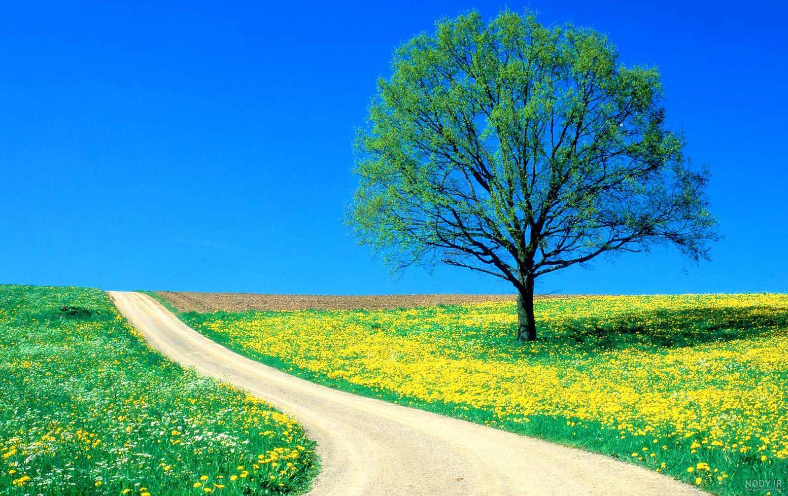 عکس طبیعت فوق العاده زیبا