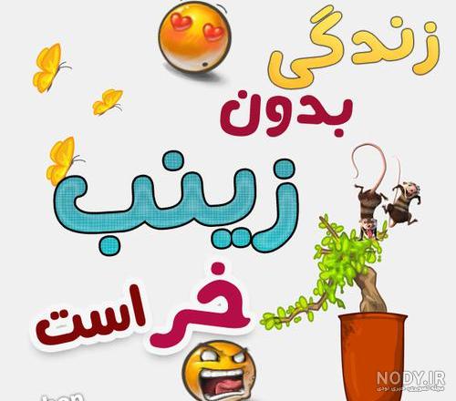 عکس نوشته زینب دوستت دارم