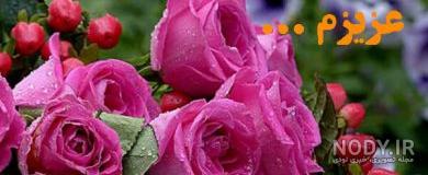 عکس نوشته صبح بخیر شاداب عکس نوشته صبح بخیر شاداب