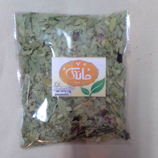 عکس گیاه سنای مکی عکس گیاه سنای مکی
