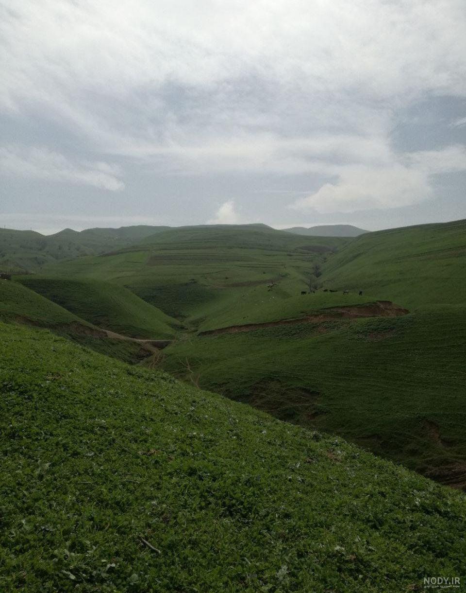 عکسهای طبیعت ساده
