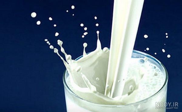 نحوه باردار شدن گاو
