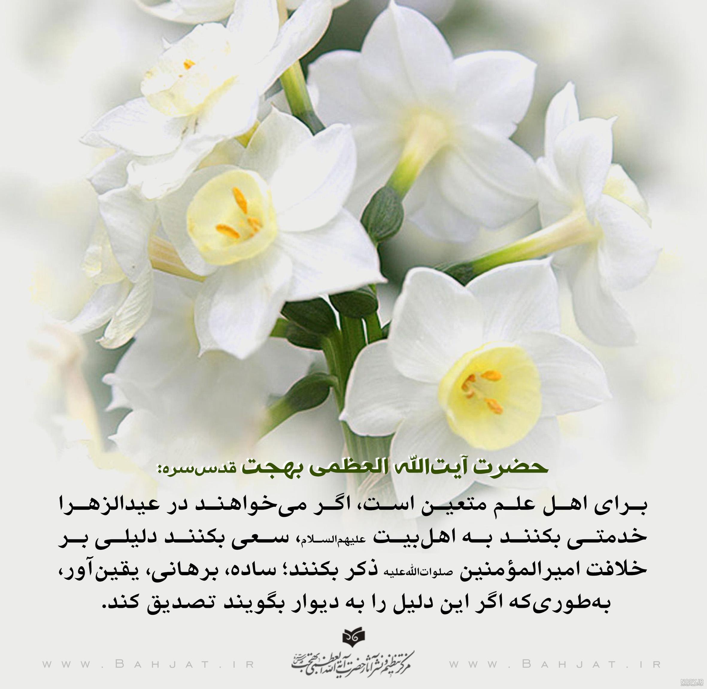 پروفایل احادیث ناب پروفایل احادیث ناب
