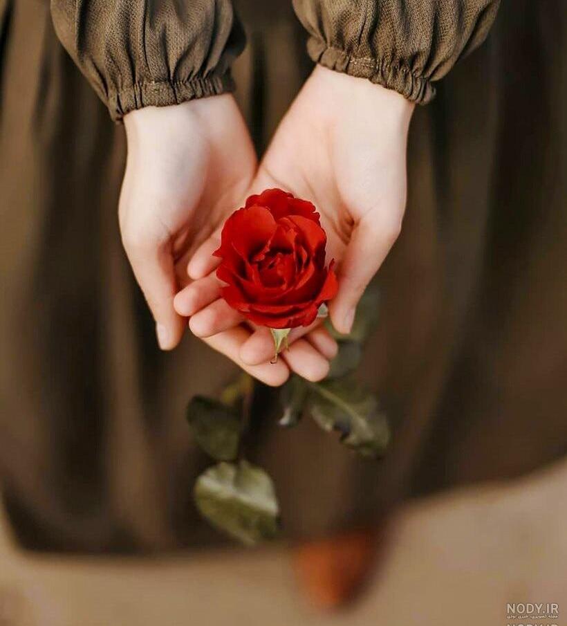 پروفایل گل با متن عاشقانه پروفایل گل با متن عاشقانه