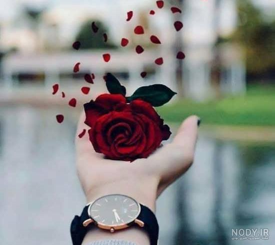 گل نوشته ها گل نوشته ها