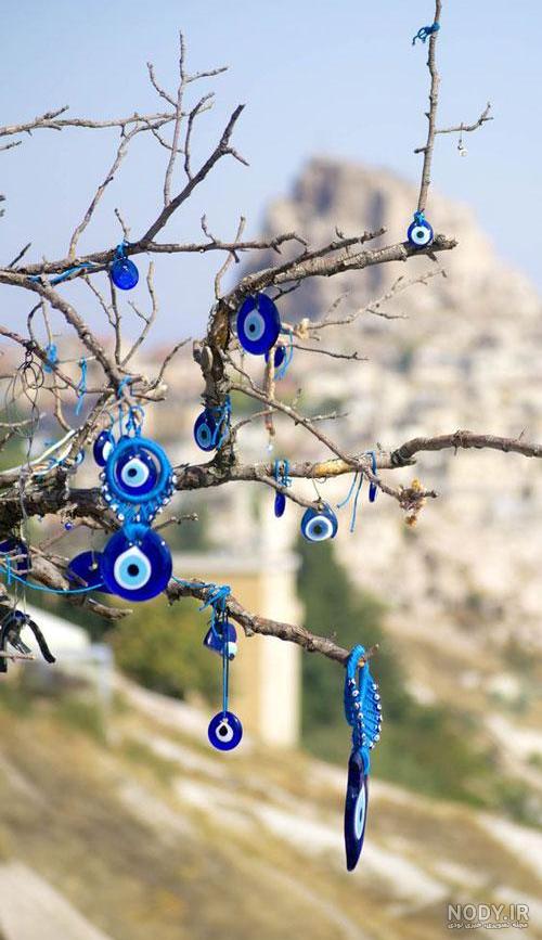 گونه های خرگوش
