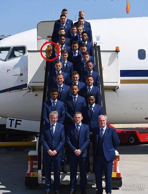 عکس حیوانات کارتونی برای نقاشی