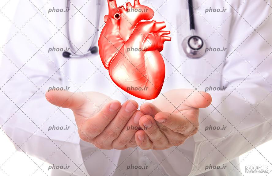 عکس قلب پزشکی