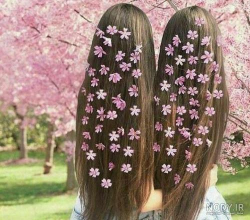 عکس پروفایل واتساپ بهاری عکس پروفایل واتساپ بهاری