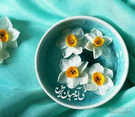 انواع گل نرگس با عکس انواع گل نرگس با عکس