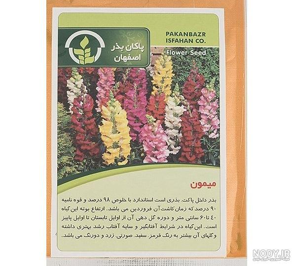 بذر گل میمون