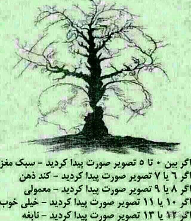 برای تقویت حافظه چه بخوریم نی نی سایت