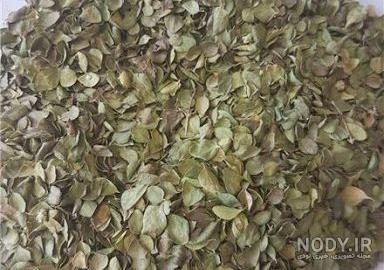 خواص آویشن برای پوست خواص آویشن برای پوست