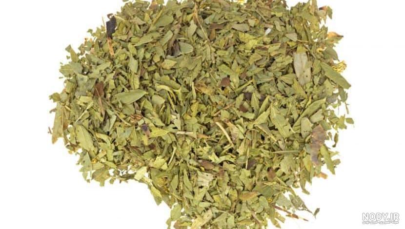 خواص برگ سنا برای پوست