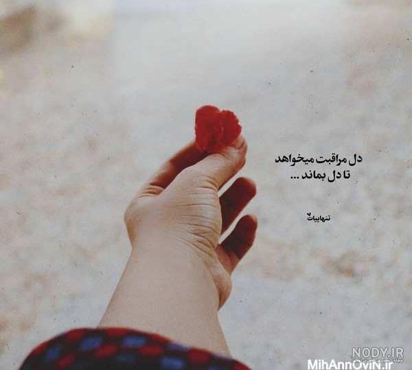 دانلود عکس تنهایی لاتی تره