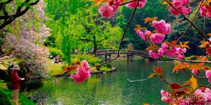 زیباییهای ژاپن