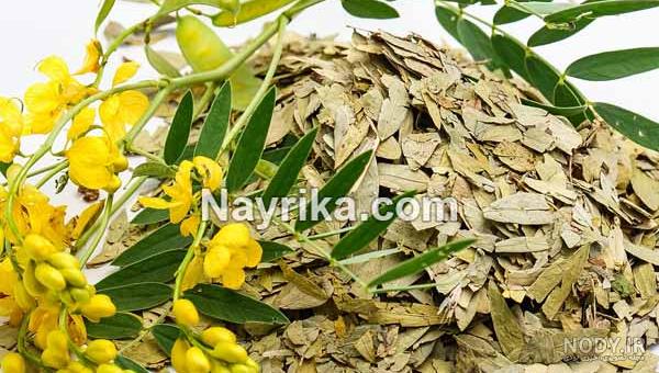 عکس برگ سنا خشک شده