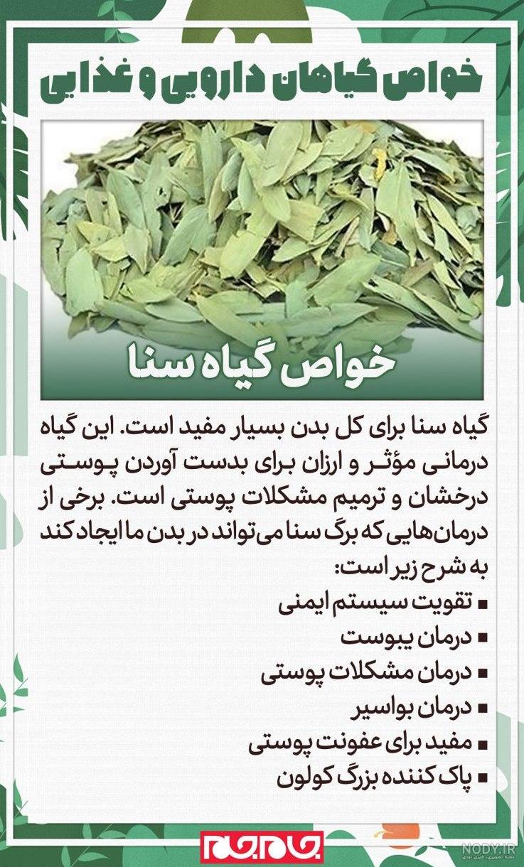 عکس برگ سنای مکی