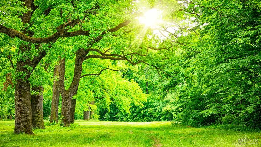 عکس تابستانی زیبا عکس تابستانی زیبا