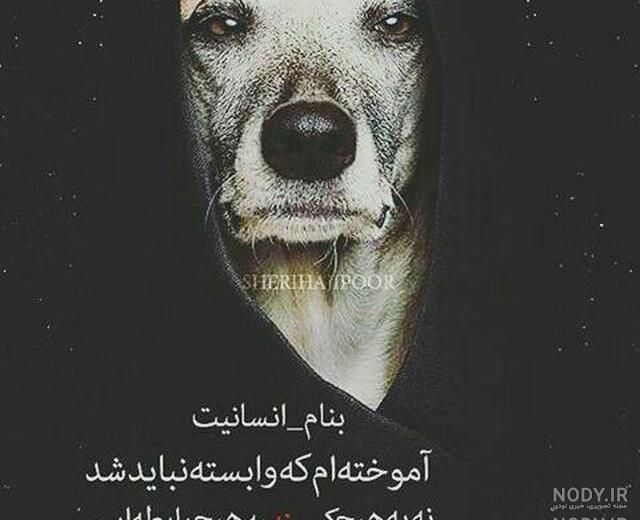 عکس تنهایی لاتی تره دخترانه
