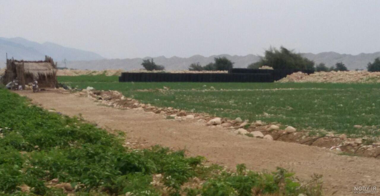 عکس روستای ارده رضوانشهر