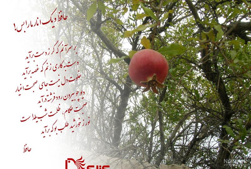 عکس حافظ و انار
