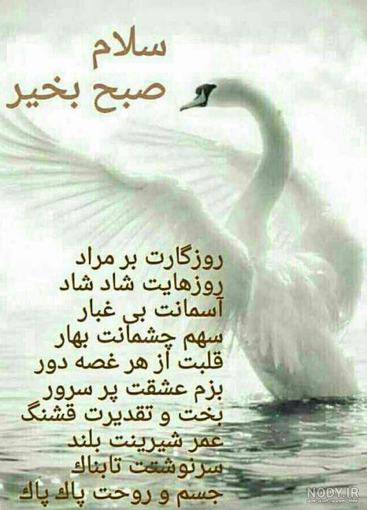 عکس صبح بخیر جدید 99 عکس صبح بخیر جدید 99