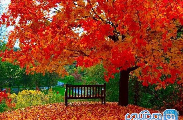 عکس پاییز بارانی عکس پاییز بارانی