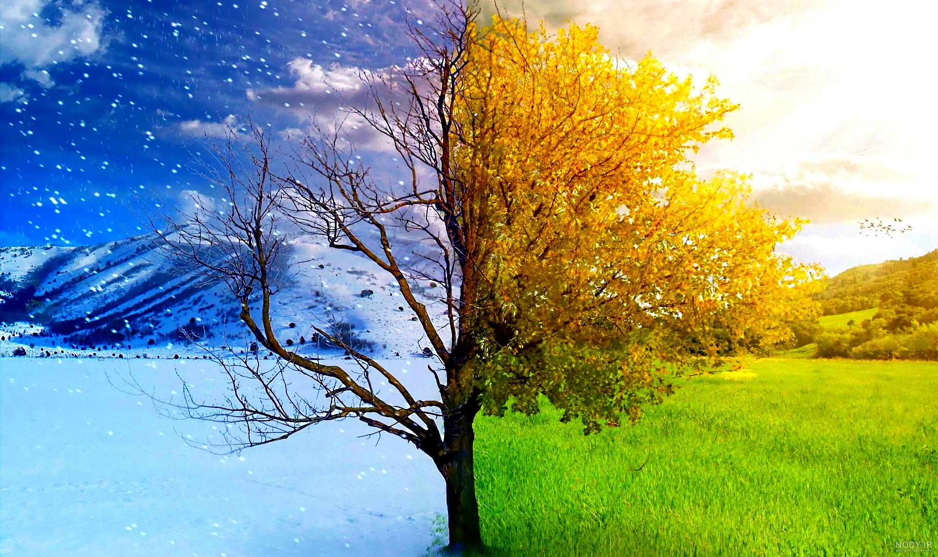 عکس پاییزی بهاره رهنما عکس پاییزی بهاره رهنما