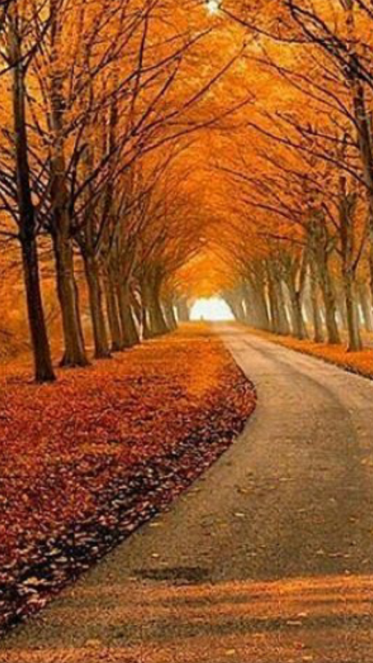 عکس پاییزی غمگین عکس پاییزی غمگین